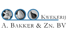 Bakker & Zn BV Kwekerij